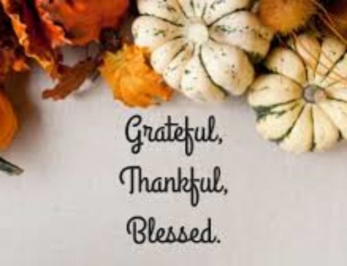 What Are You Grateful for this Thanksgiving 2020?